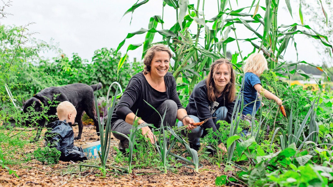 Die Ausbildnerin Tamara Vogel (l.) holt mit ihrer Agriprakti-Jugendlichen Vivien Schönbächler, ihren beiden Kleinkindern und dem Hund frische Karotten aus dem Garten.